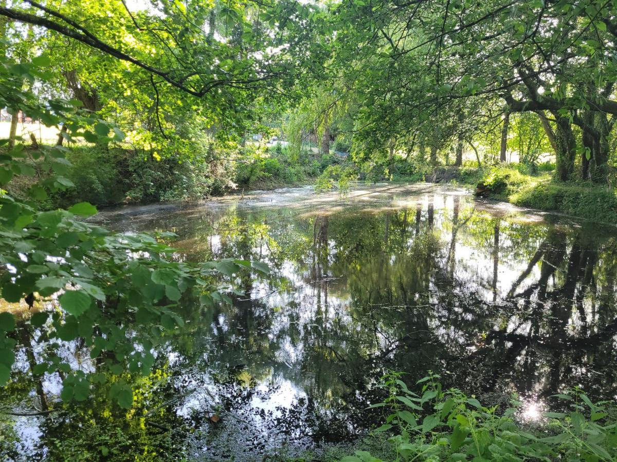 Clos Des Monts Saint-Martin-des-Besaces Exteriör bild